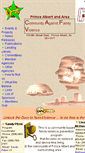 Mobile Screenshot of cafv.inet2000.com